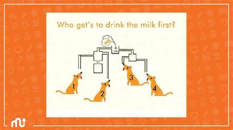 tricky logical questions with answers