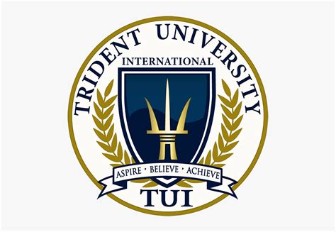 trident university international cover page