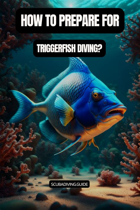 Triggerfish Scuba Diving