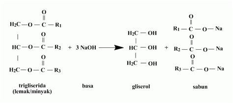 Fosfolipid Dan Trigliserida Pengertian Struktur Dan Ciri Info My XXX