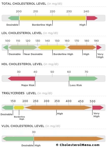 High Triglycerides Level: Causes, Risks, and Effective Solutions