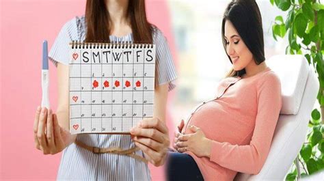 3 Tips Cepat Hamil Setelah Haid Solusi Kesehatan, Kehamilan, Persalinan dan Anak.