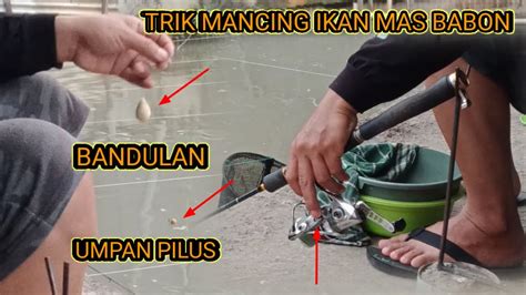 Tip dan Trik Mancing Ikan Mas Mancingyu's Blog