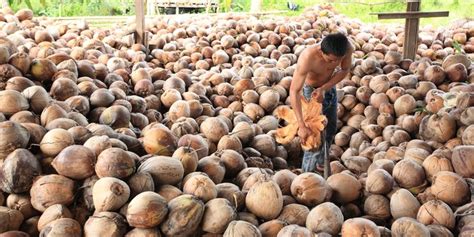Merasa ditipu 80 Juta, warga Mogolaing laporkan rekan bisnis kelapa di Polres Kotamobagu