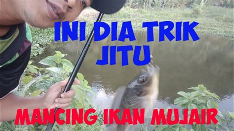 Catatan Perangkat Desa GRATIS...... Mancing Ikan Mujair