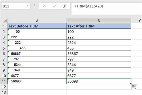 Trim Excel Cell To Number Of Characters