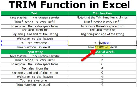 5 Excel Trim Tips