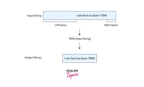Trim Function In Sas Sql