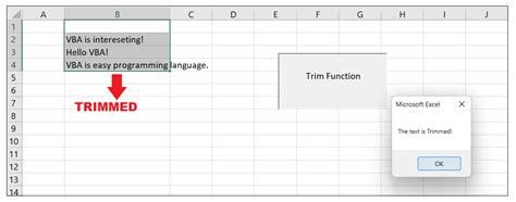 Trim Function In Vba Not Working