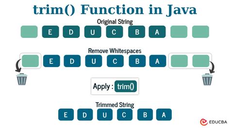 Trim Function Javatpoint