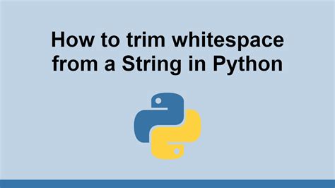 Trim In Python W3Schools