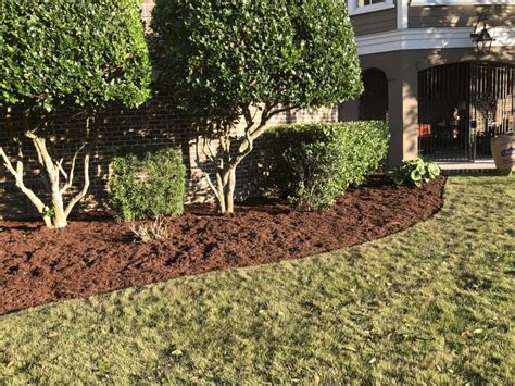 Trim Landscaping