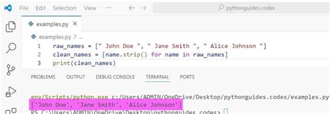 Trim The List In Python