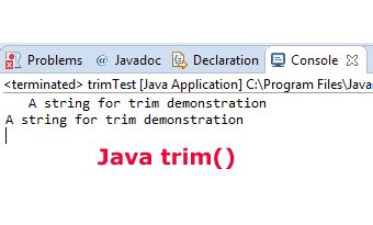 Trim Unicode Java