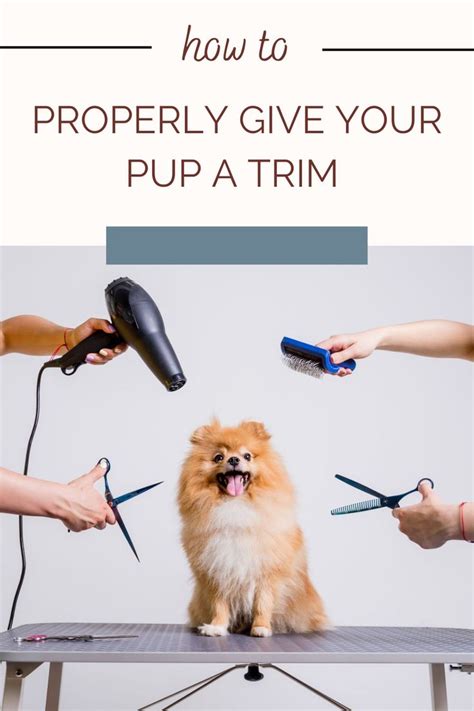 Trim Up The Pup