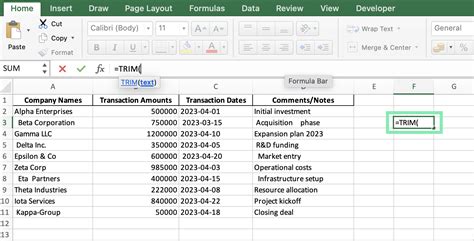 Trim Value In Excel Cell