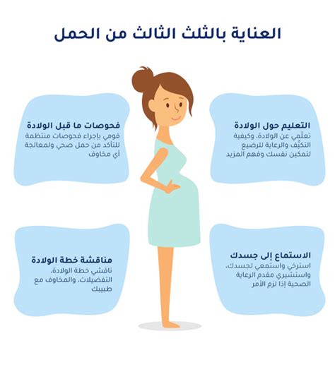 Trimester In Arabic