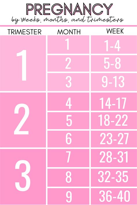 Understanding Pregnancy Trimesters by Weeks: A Comprehensive Guide