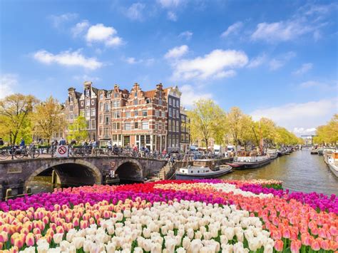 trip package to netherlands
