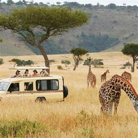 tripadvisor african safari reviews