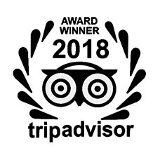 tripadvisor official site usa