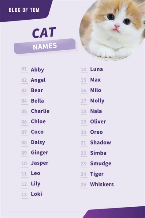 Triple Cat Names