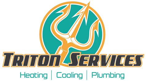 Triton Services Delaware