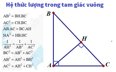 trong tam tam giac