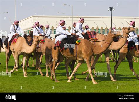 View Troops Mounted On Dromedaries 2023