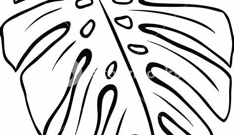 Palm Frond Clip Art Free - Palm Leaf Clipart Black And White - Free