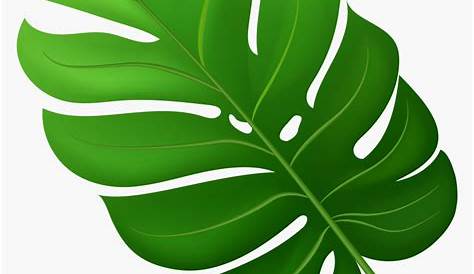 Green Tropical Leaves Clip Art, Tropical Leaf Clipart