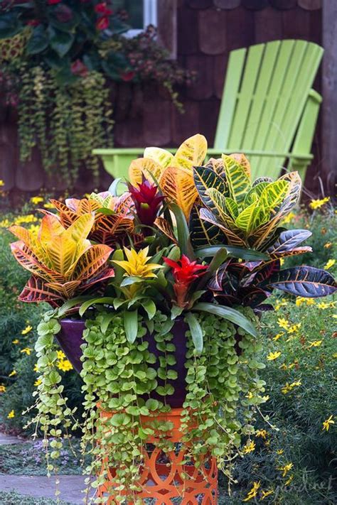 Tropical Planters I made ) Container gardening flowers, Patio