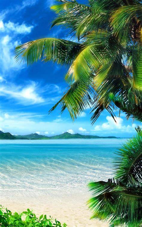30 HD Tropical Beach iPhone Backgrounds