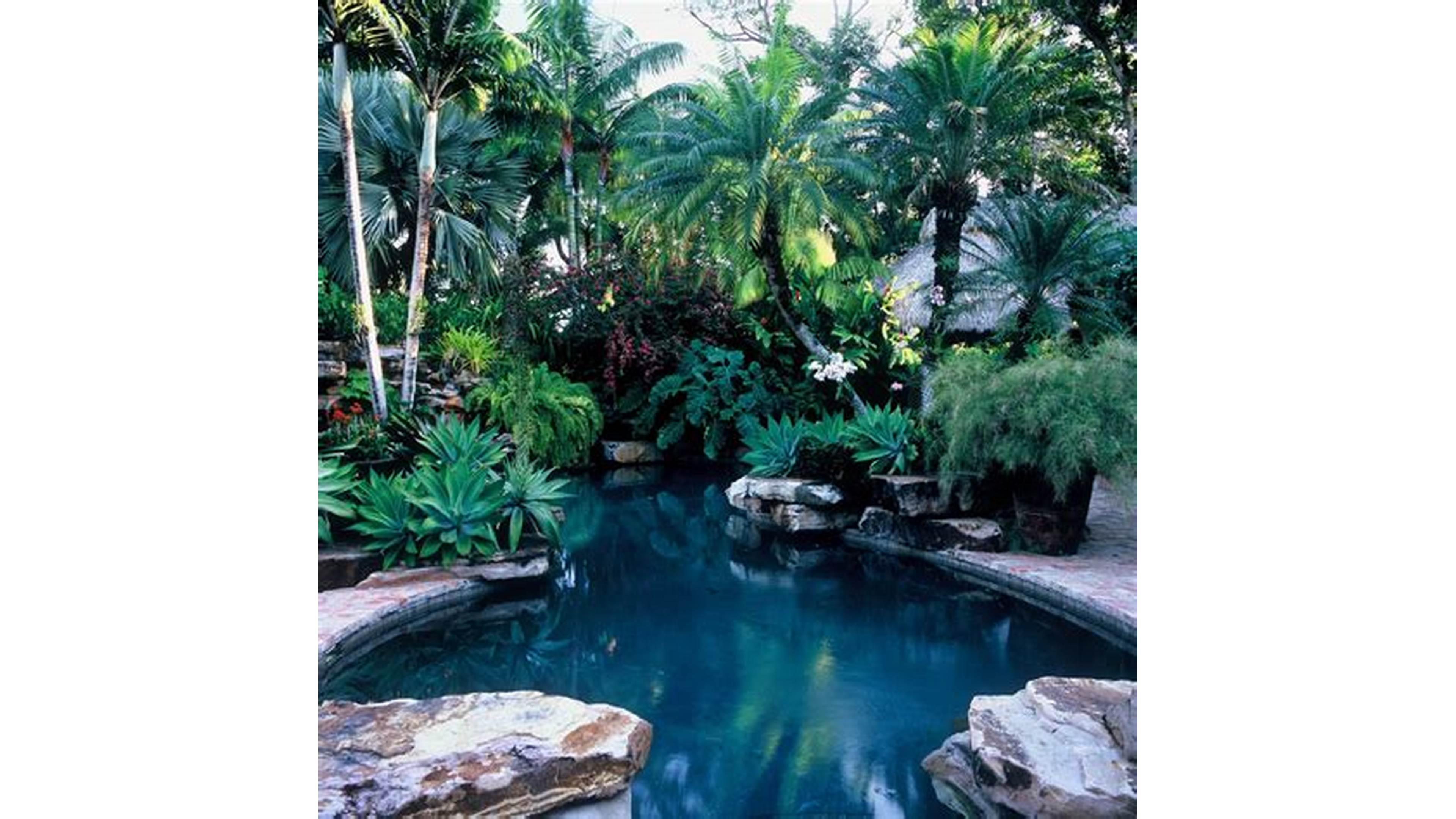 Tropical Oasis Poolside ‌Landscaping