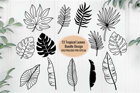 Tropical SVG Designs: Add a Touch of Paradise to Your Crafting Projects