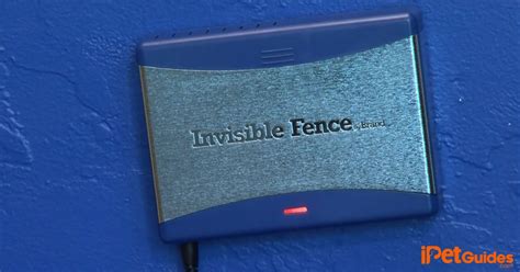 Invisible Dog Fence Wiring Diagram