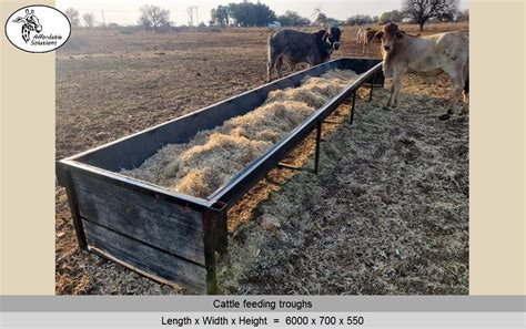 Trough From Which Cattle Feed
