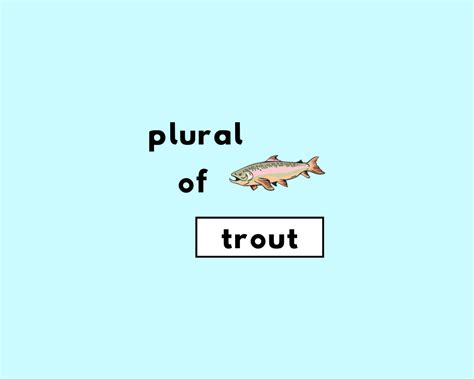 Trout Dictionary Plural