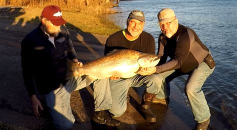 Trout Fishing Branson Mo