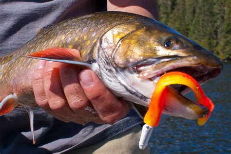 Trout Fishing Lures Canada