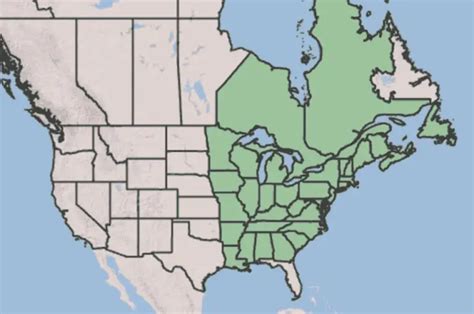 Trout Lily Range Map