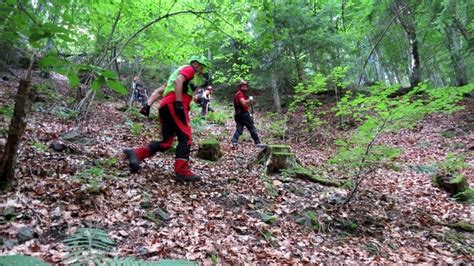 trovato scheletro nel bosco