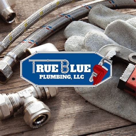 true blue plumbing services
