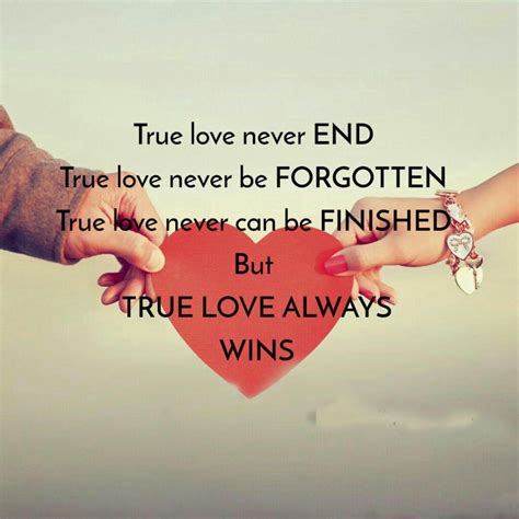 true love never ends meaning in tamil with example