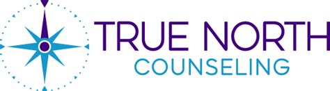 true north counseling tampa