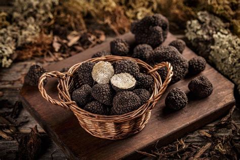 trufas negras toscanas