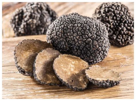 Truffle Mushrooms Are An Example Of