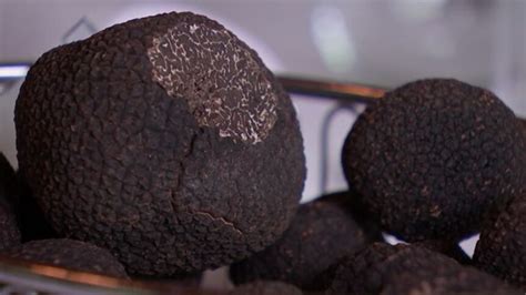 Truffles Queensland