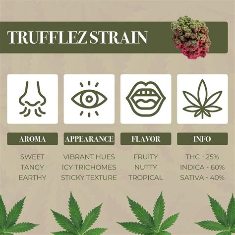 Trufflez Weed Brand