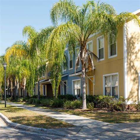 trulia apartments for rent tampa